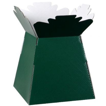 Picture of BOUQUET BOX GLOSSY DARK GREEN X 30pcs`